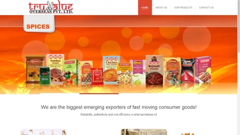 Website designing for Tru Value Overseas Pvt. Ltd