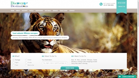 Website for Discover Destinations